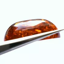 Barna Narancs Borostyán