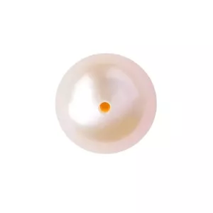 CHAMPAGNE COLOR PEARL