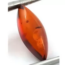 Pietre Semipretioase - Chihlimbar Maro oval pentru bijuterii