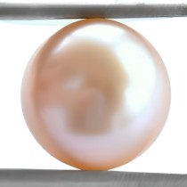 Descoperă Perlele de culoare champagne | Pentru bijuterii fine