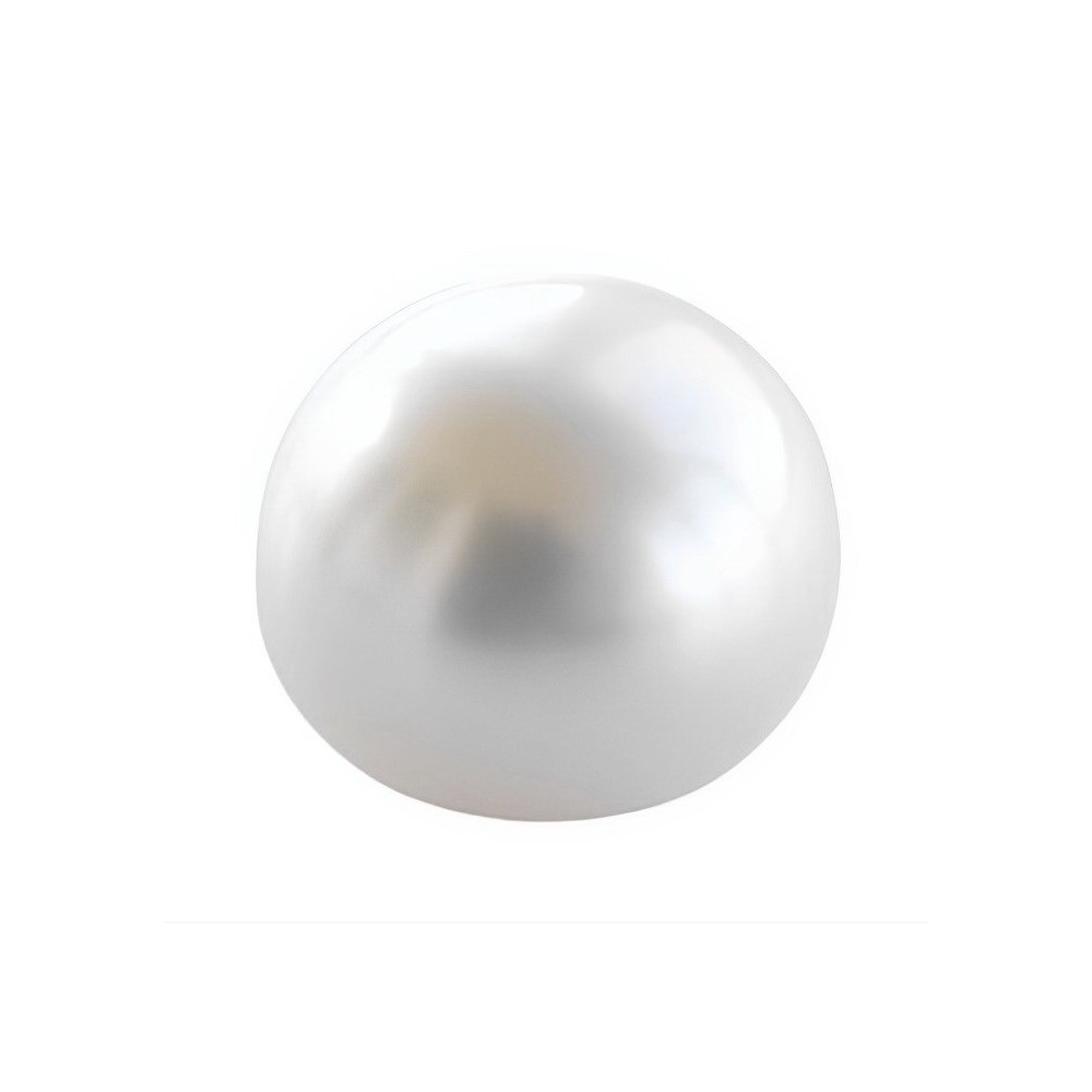 white round perforated round pearl button type