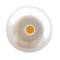 Perles blanches naturelles - Découvrez la brillance et le raffinement